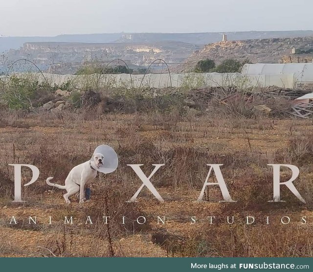 Pixar