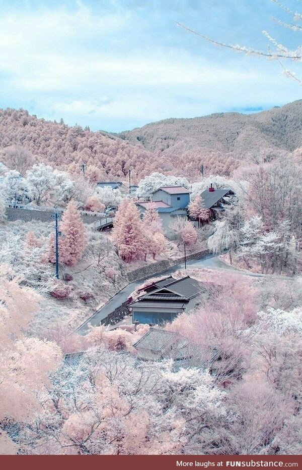 Mount Yoshino in Japan