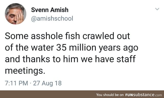 Stupid fish