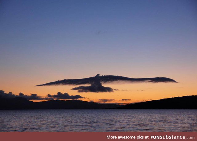 Amazing cloud that look like bird