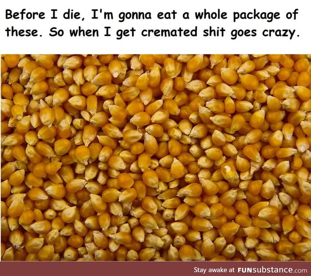 -Son. Bring me a lot of popcorn Kernels before I die. -Why? -Just Bring it Goddammit!