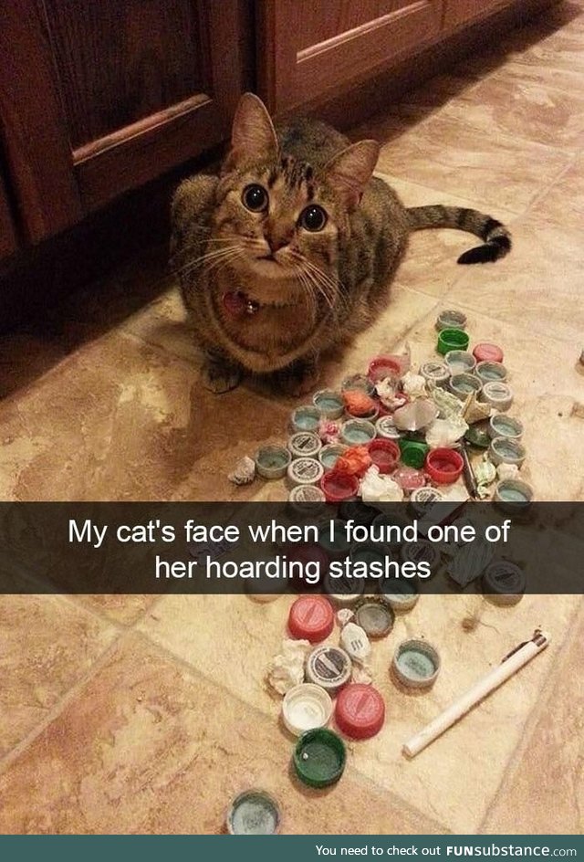 Hoarding