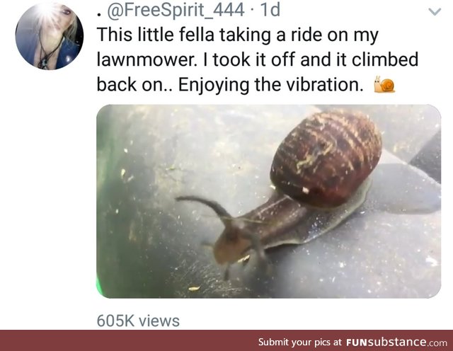 Snail