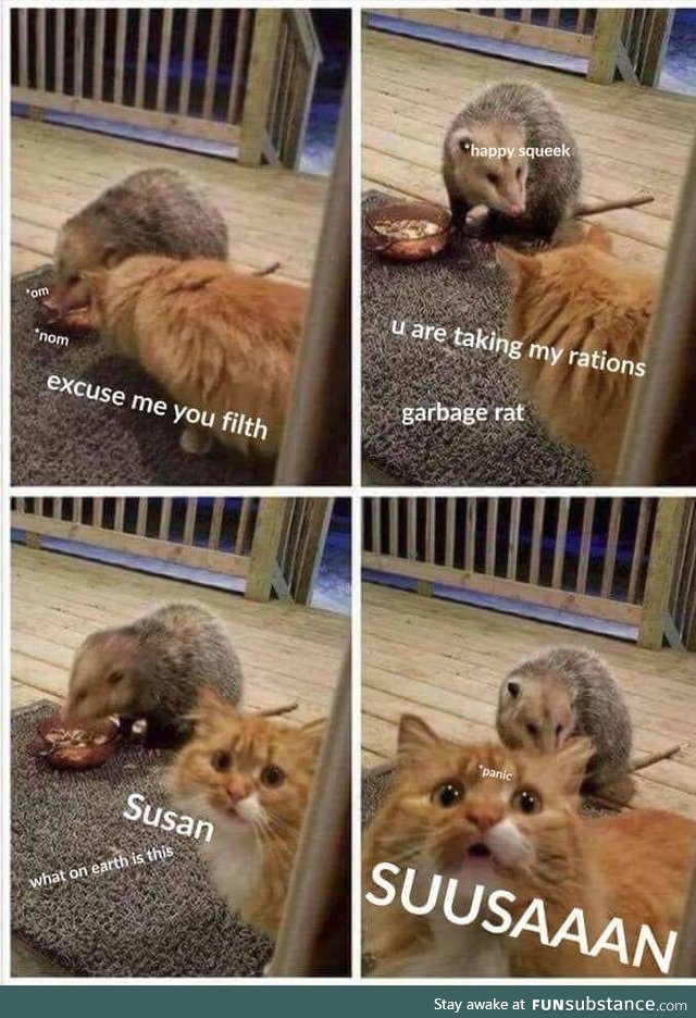 Dammit Susan