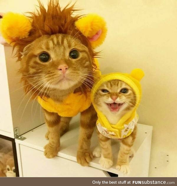 Mufasa and Simba