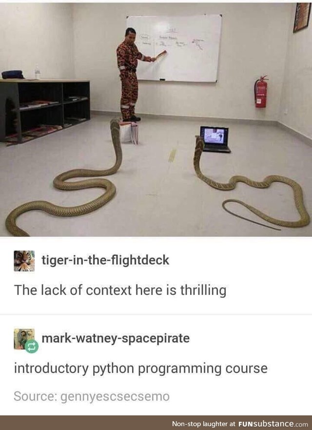 Cobras learning Python (lack of context is the best context)