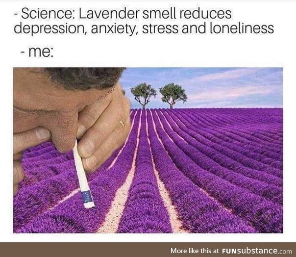 Smoke lavender