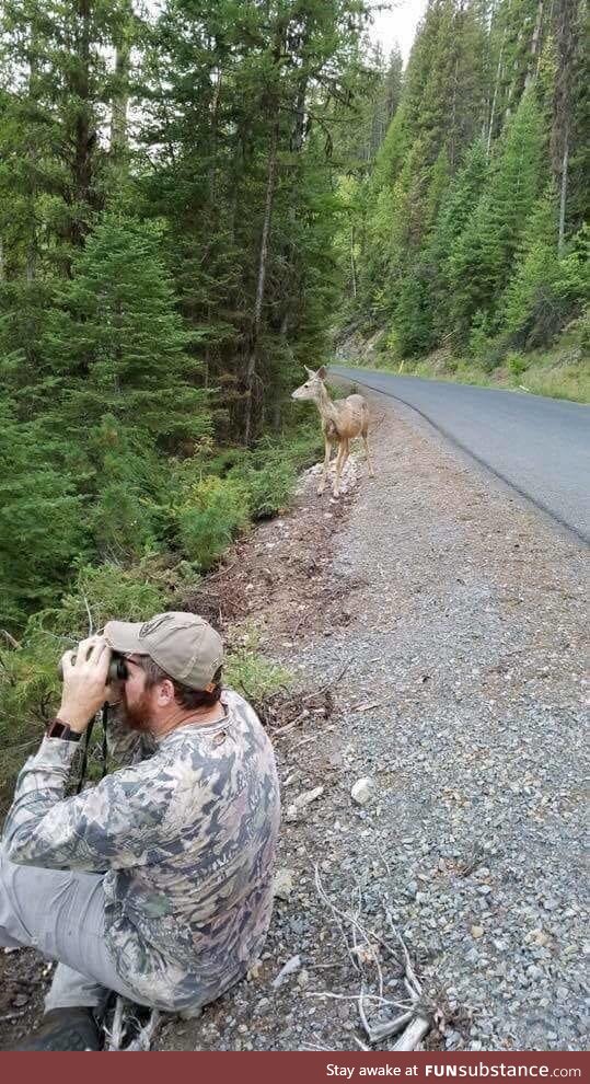 Oh deer