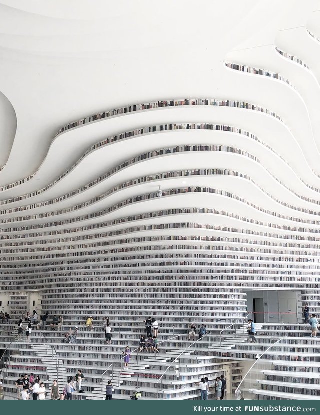 A Labyrinth of Books