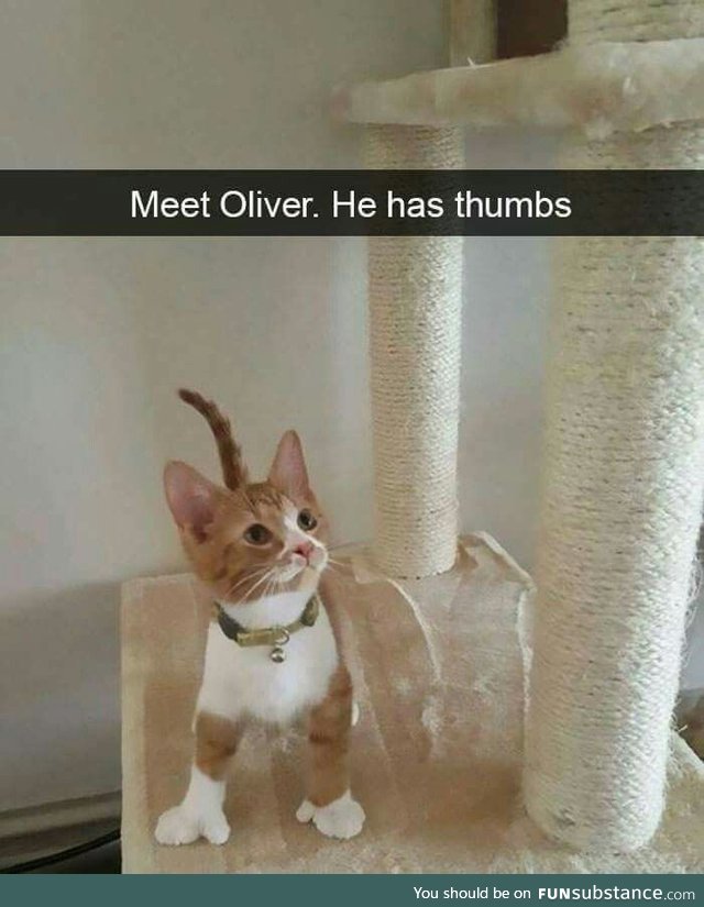 Oliver