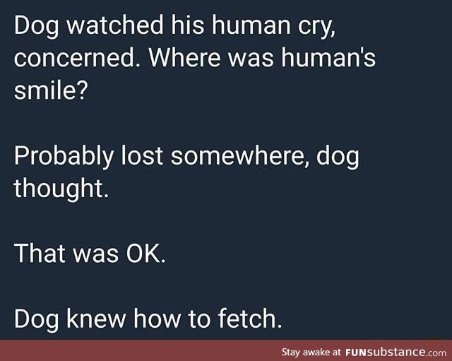 Dog use fetch