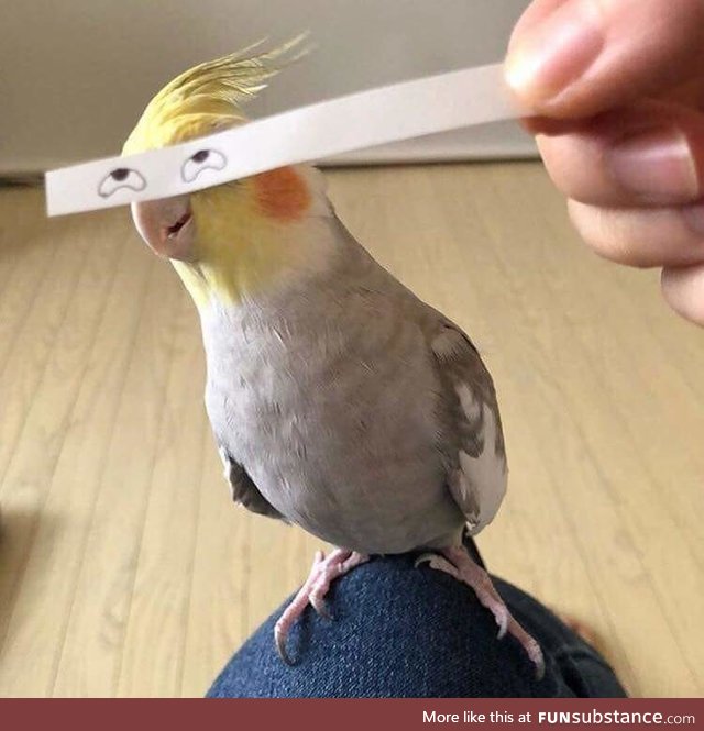 This birb