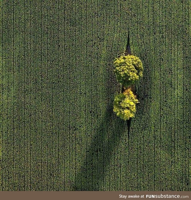 Ontario . Canada