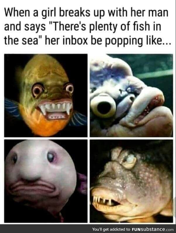 Plenty of fish coming