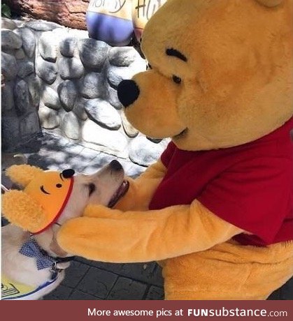 Meeting Pooh