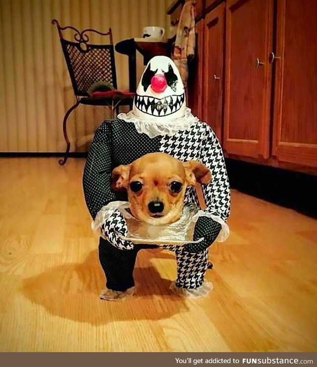 Headless pupper all ready for Halloween