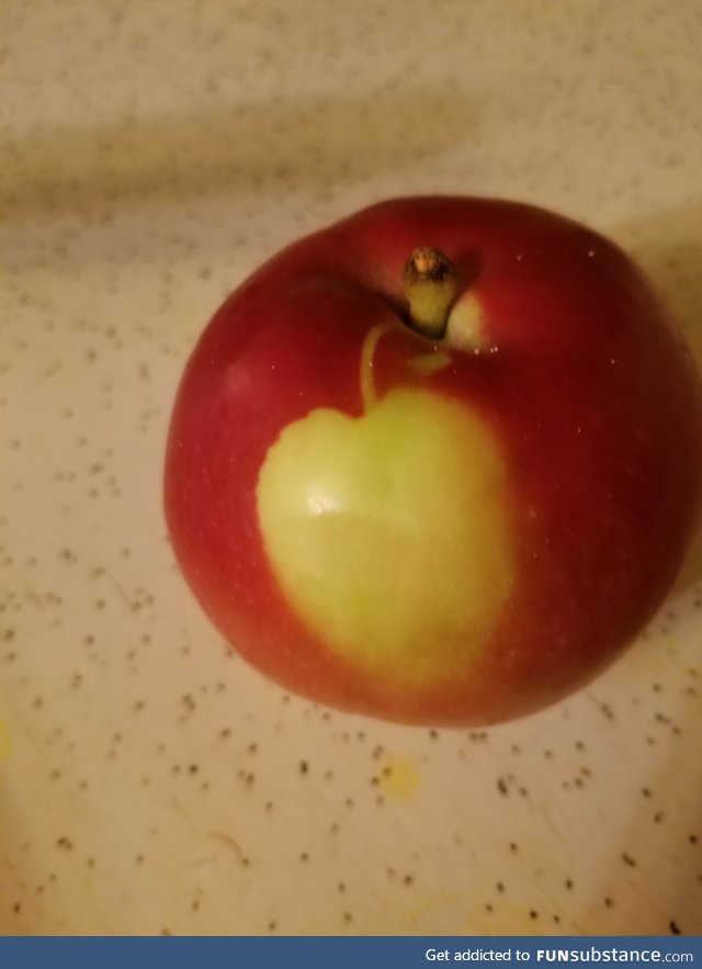 Apple has an apple on it