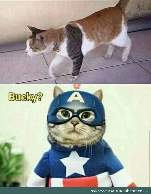 Bucky?