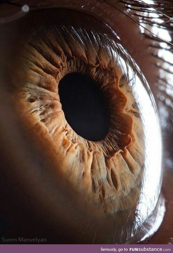 Close up of a human eye