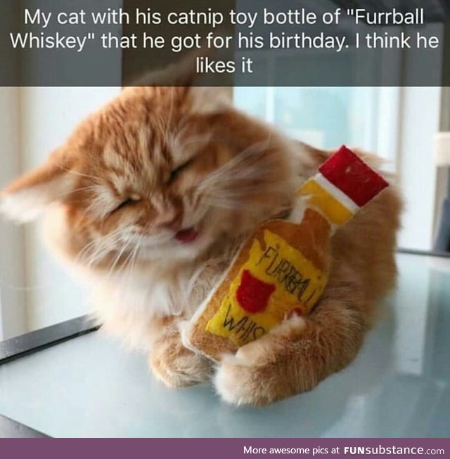 Furrball whiskey