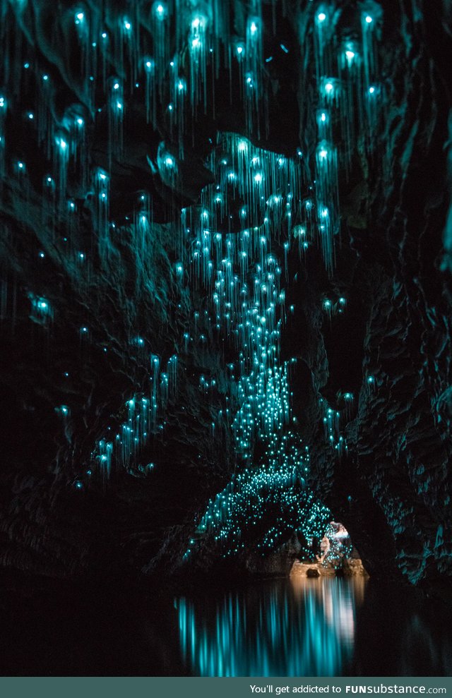 Waitomo Glow Worm Caves, New Zealand