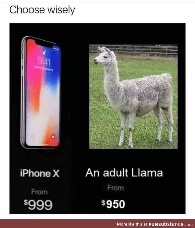 Choose wisely