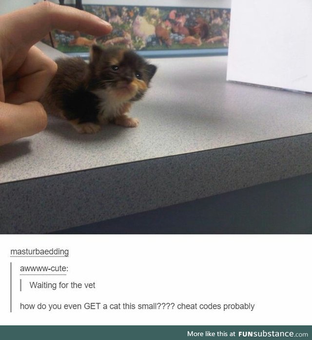 So tiny