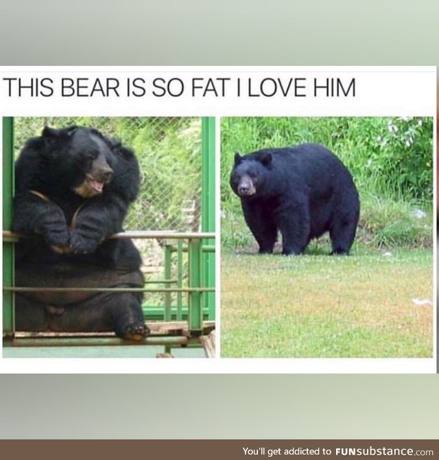 Can you relate to the bear?