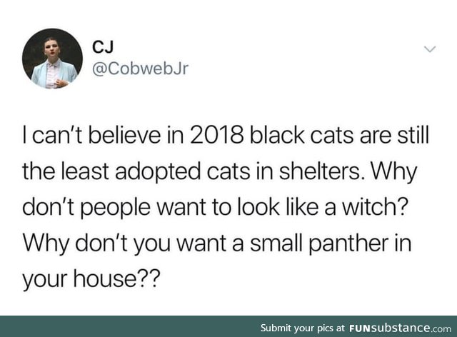 Black cats