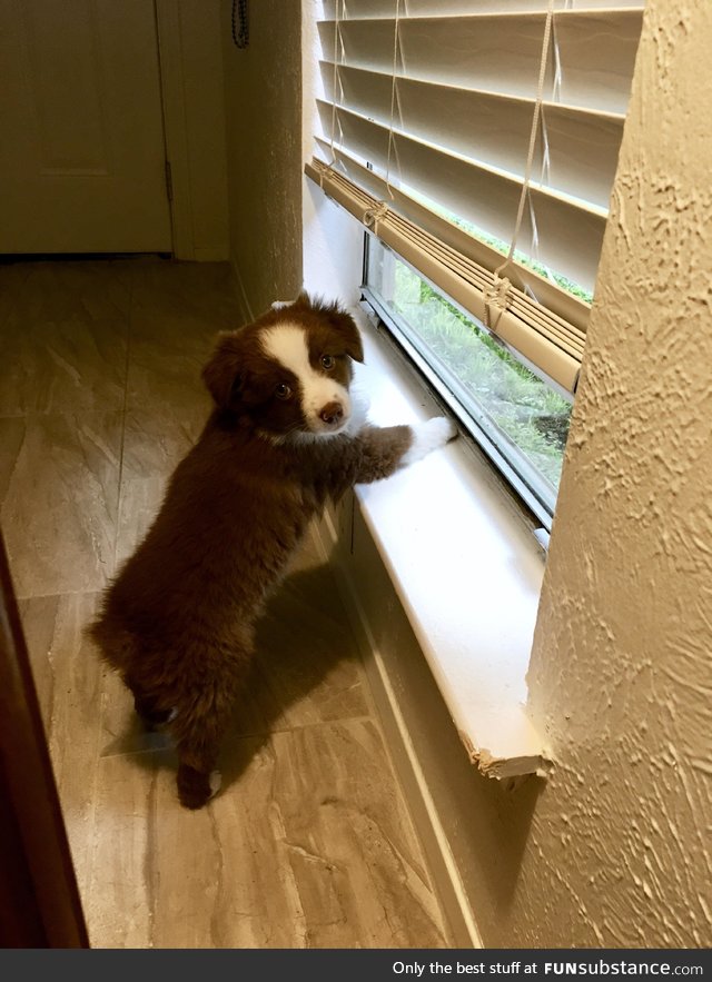 imagine coming home and seeing this cute little boy <3