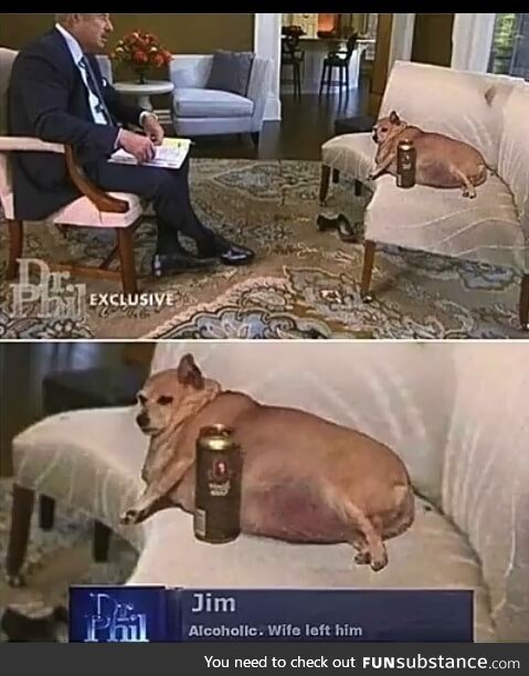 Poor dog