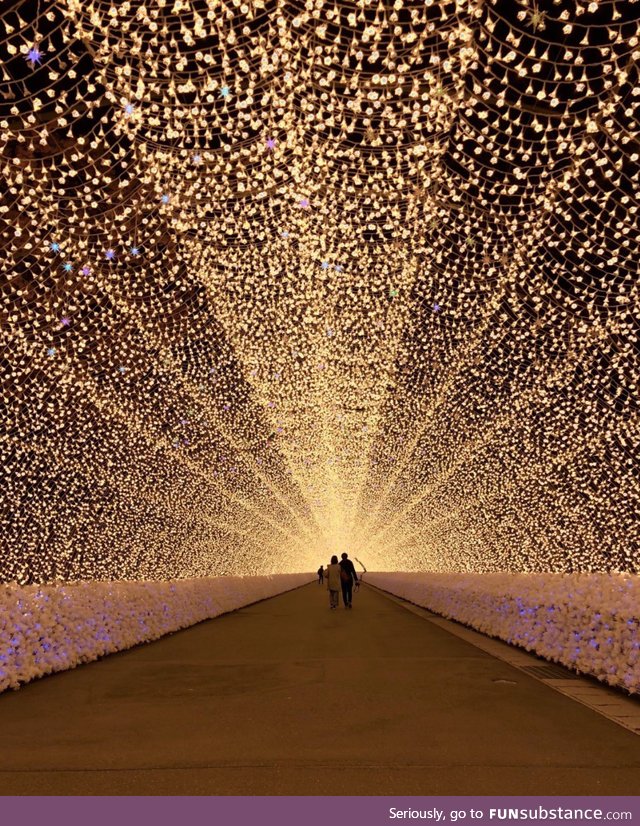 Garden of Lights