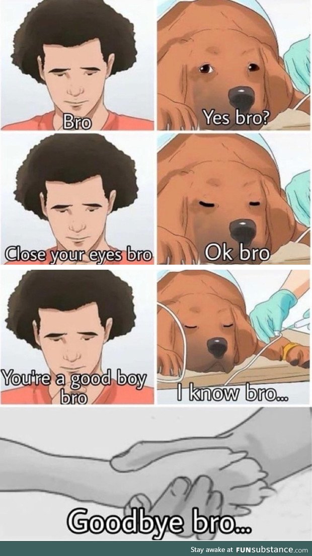 bro