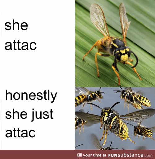 Attac