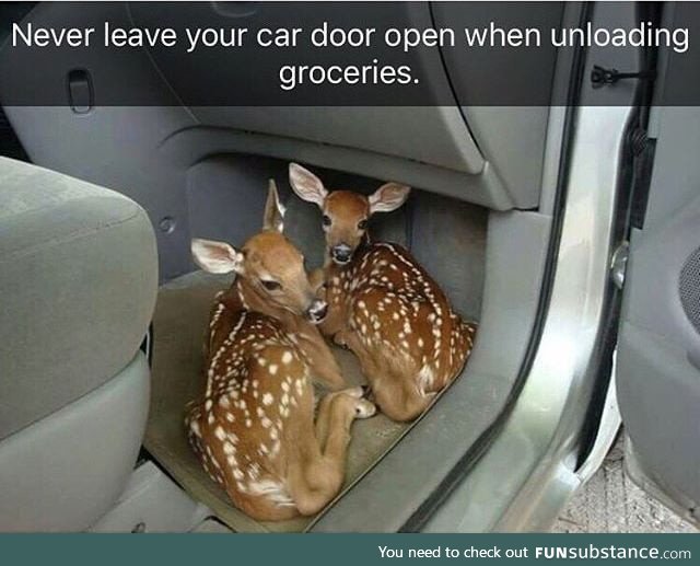 Oh deer