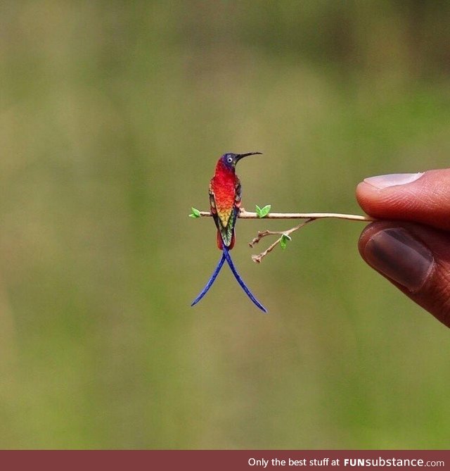 This tiny tiny hummer