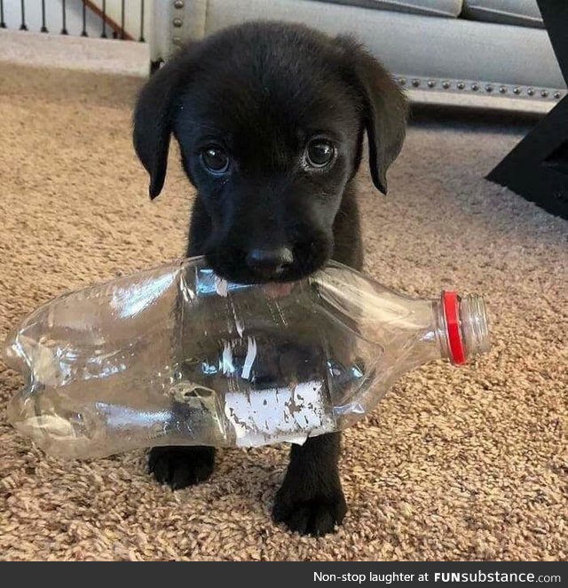 "hoomans..? please stop littering.. okay?"