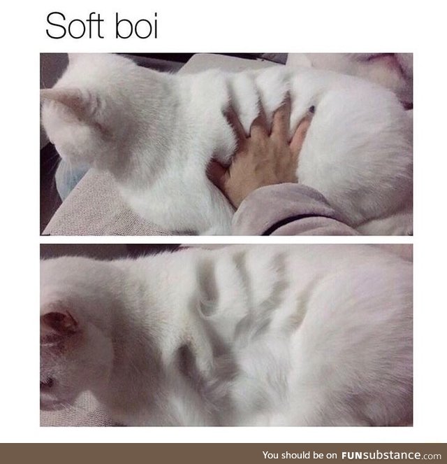 Soft boi