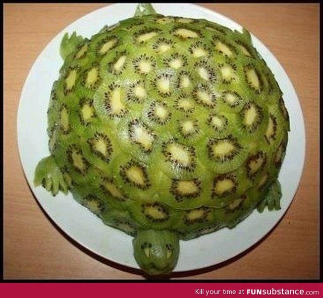 Turtle made entirely of kiwi fruit