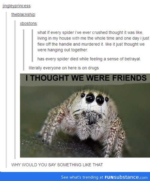 Spider best friends