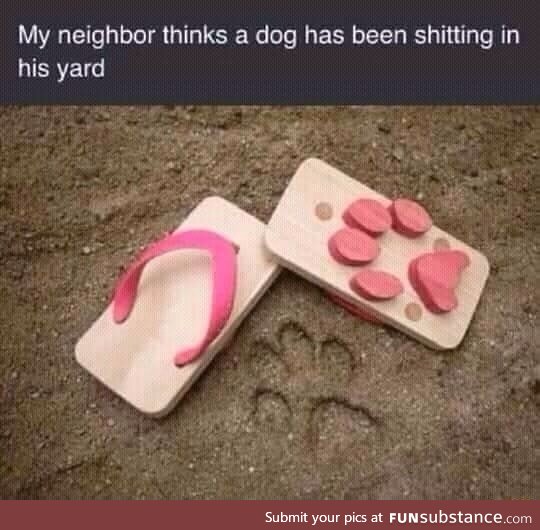 Dog shit