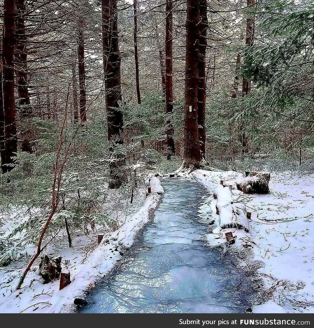 This frozen trail looks like a river