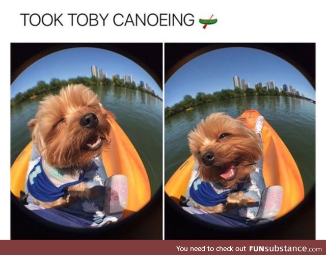 Toby