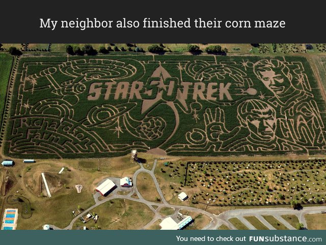 Epic corn maze