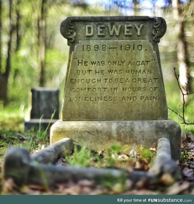 Dewey