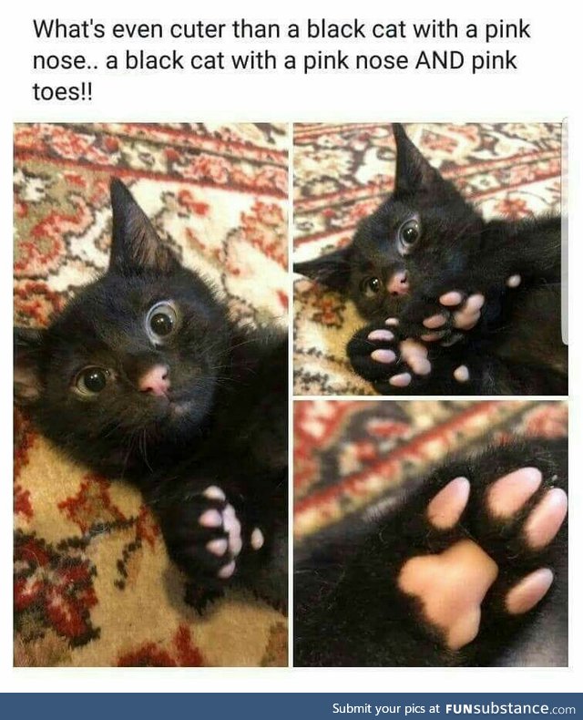 Toe beans