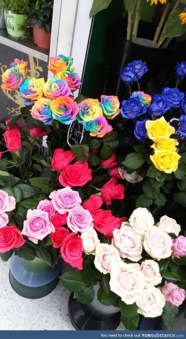 Rainbow-roses spotted in London