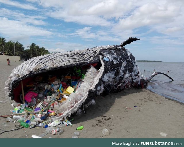 A Dead Whale's wake-up call