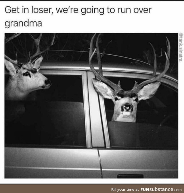 Oh deer!!