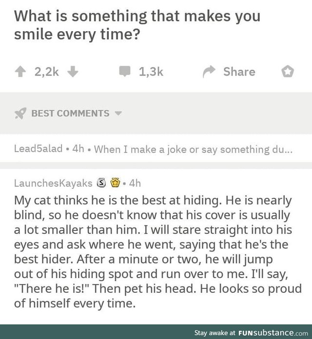 Wholesome cat owner